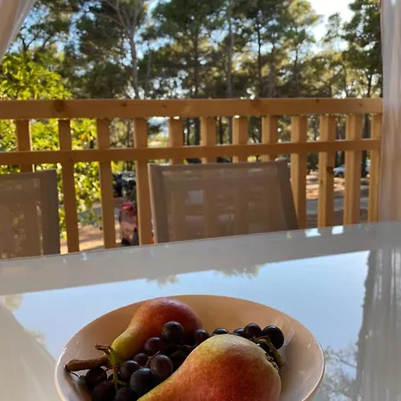 Adria Village Basko Polje Kemp